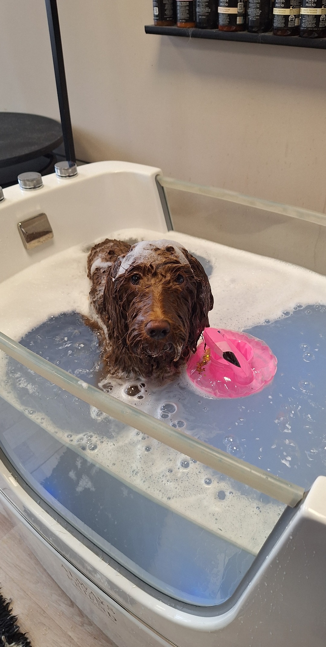Doodle in het ozon spabad, met een roze flamingo in het water